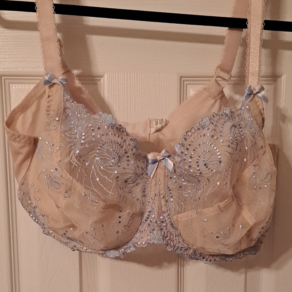 Elegant Lace Embroidered Bra